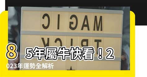 85年屬|85年生肖知多少？快來看